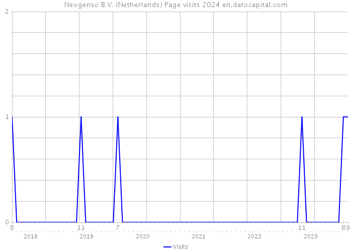 Nexgenso B.V. (Netherlands) Page visits 2024 