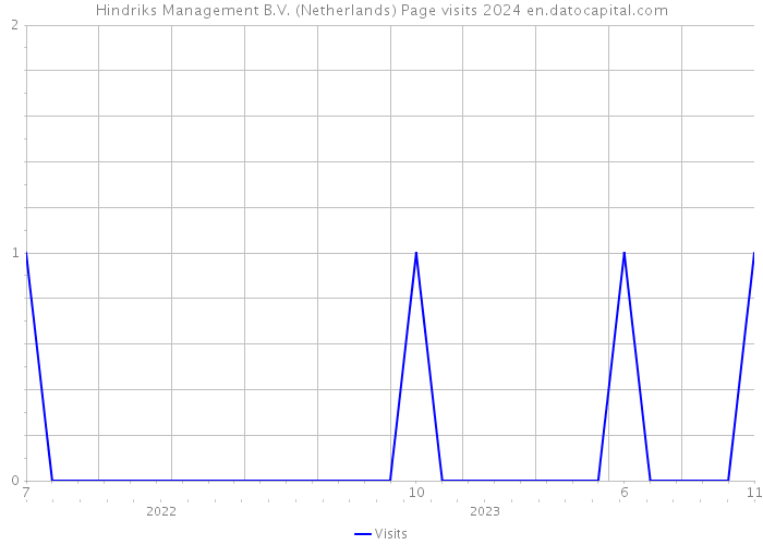 Hindriks Management B.V. (Netherlands) Page visits 2024 