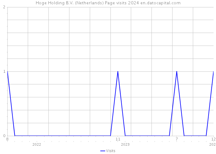 Hoge Holding B.V. (Netherlands) Page visits 2024 