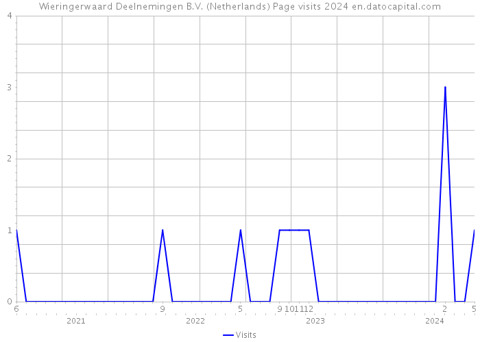 Wieringerwaard Deelnemingen B.V. (Netherlands) Page visits 2024 