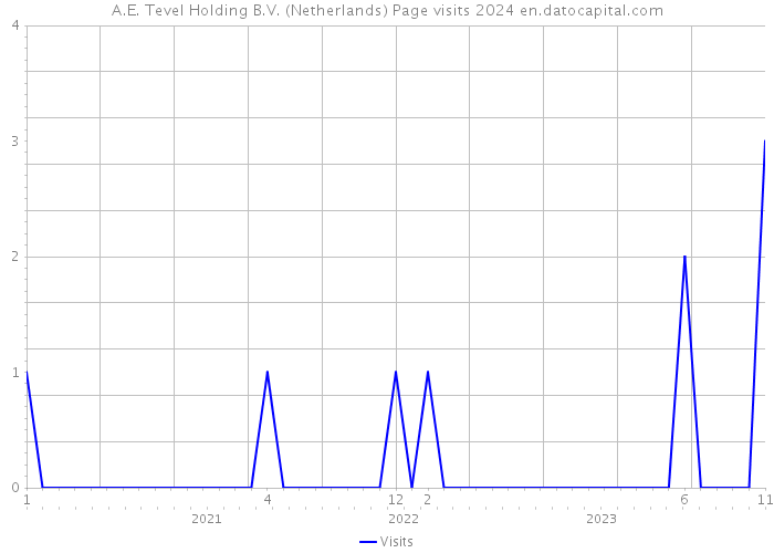 A.E. Tevel Holding B.V. (Netherlands) Page visits 2024 