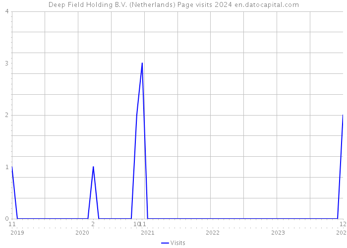 Deep Field Holding B.V. (Netherlands) Page visits 2024 