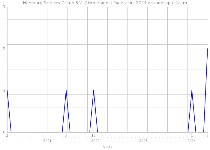 Homburg Services Group B.V. (Netherlands) Page visits 2024 