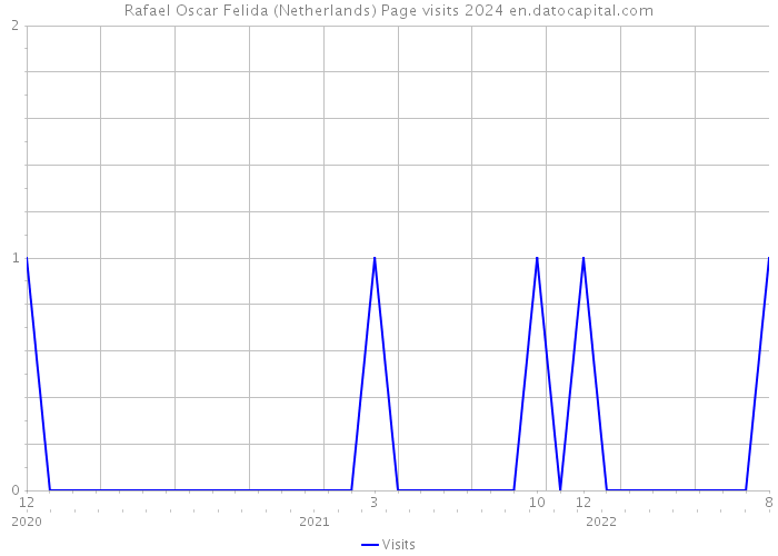 Rafael Oscar Felida (Netherlands) Page visits 2024 