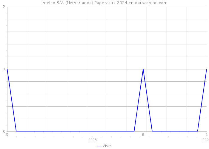 Intelex B.V. (Netherlands) Page visits 2024 