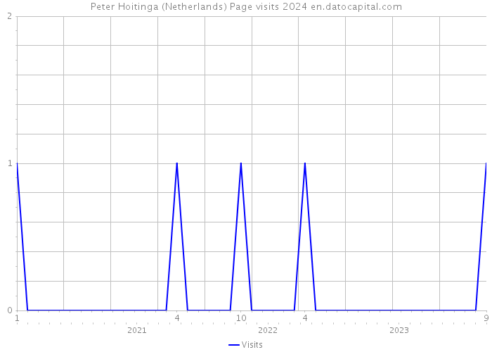 Peter Hoitinga (Netherlands) Page visits 2024 