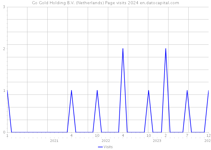 Go Gold Holding B.V. (Netherlands) Page visits 2024 
