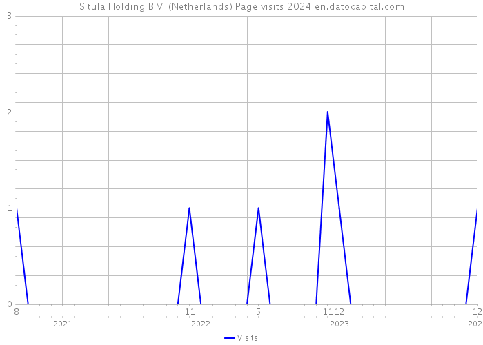 Situla Holding B.V. (Netherlands) Page visits 2024 
