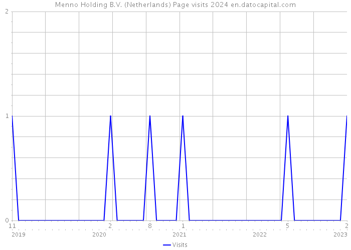 Menno Holding B.V. (Netherlands) Page visits 2024 