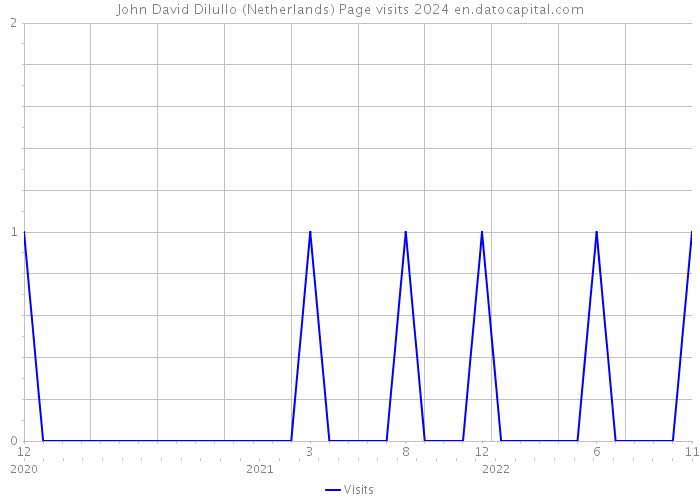 John David Dilullo (Netherlands) Page visits 2024 