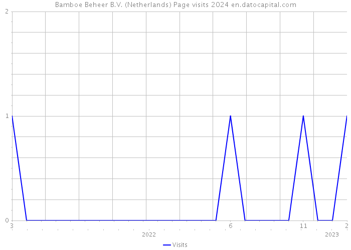 Bamboe Beheer B.V. (Netherlands) Page visits 2024 