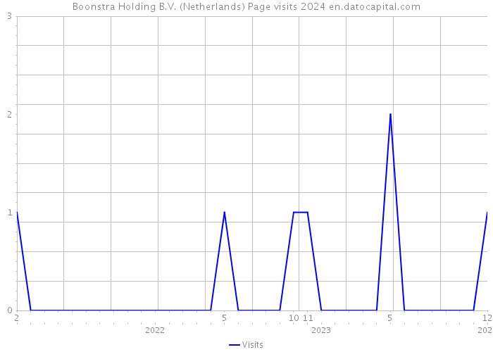 Boonstra Holding B.V. (Netherlands) Page visits 2024 