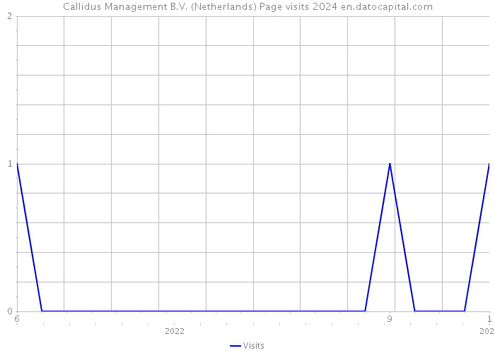 Callidus Management B.V. (Netherlands) Page visits 2024 