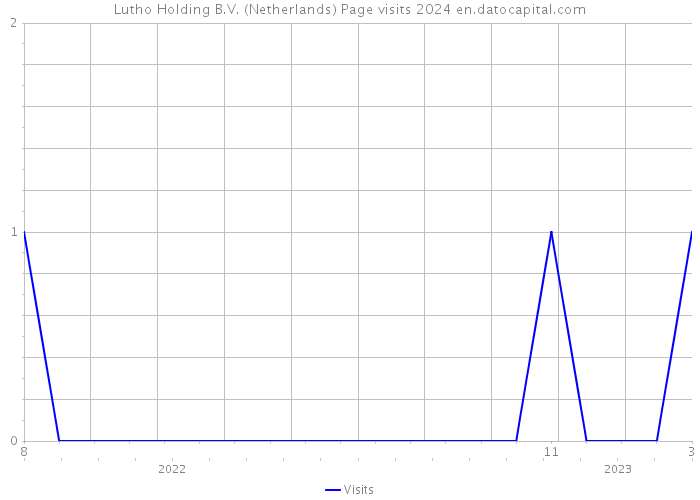 Lutho Holding B.V. (Netherlands) Page visits 2024 