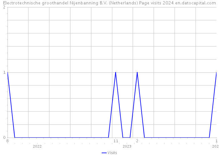 Electrotechnische groothandel Nijenbanning B.V. (Netherlands) Page visits 2024 