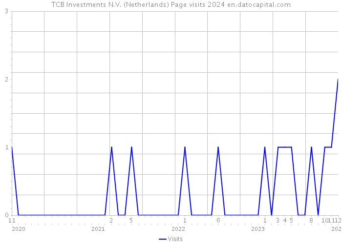 TCB Investments N.V. (Netherlands) Page visits 2024 