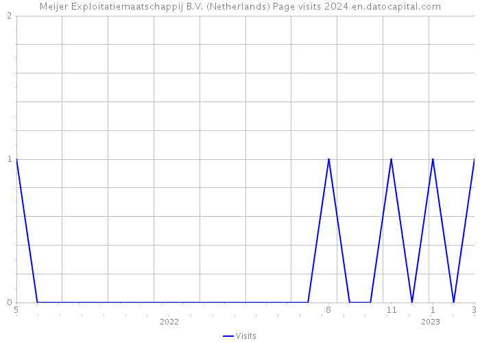 Meijer Exploitatiemaatschappij B.V. (Netherlands) Page visits 2024 