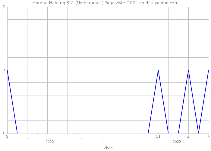Antoon Holding B.V. (Netherlands) Page visits 2024 