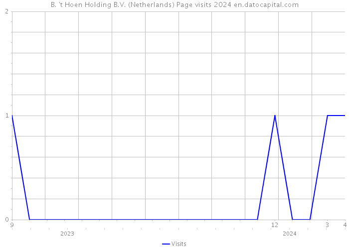 B. 't Hoen Holding B.V. (Netherlands) Page visits 2024 