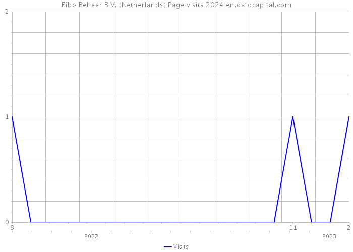 Bibo Beheer B.V. (Netherlands) Page visits 2024 