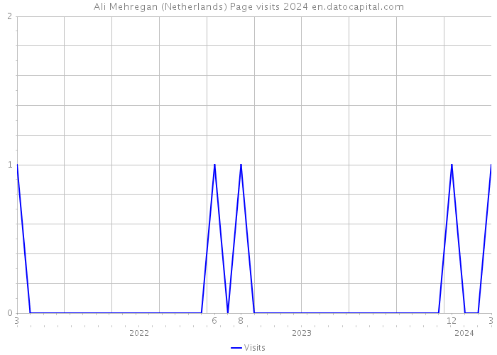 Ali Mehregan (Netherlands) Page visits 2024 
