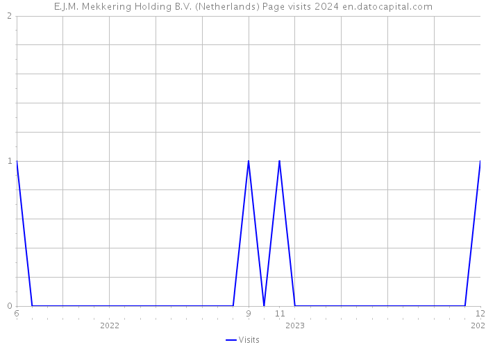 E.J.M. Mekkering Holding B.V. (Netherlands) Page visits 2024 