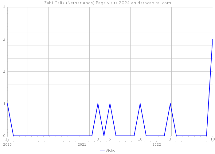 Zahi Celik (Netherlands) Page visits 2024 