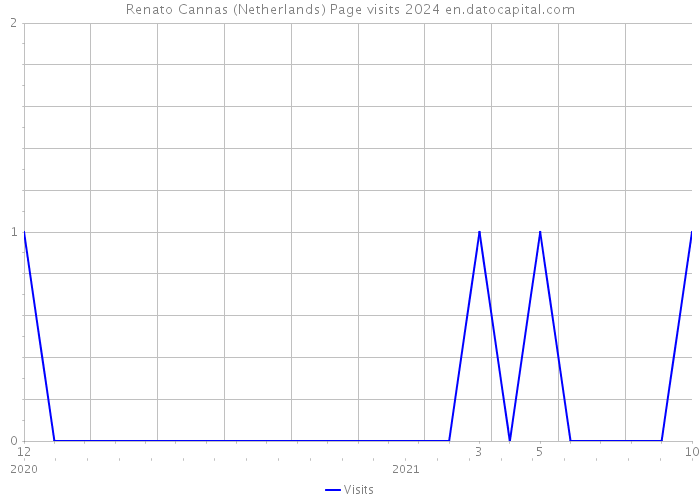 Renato Cannas (Netherlands) Page visits 2024 