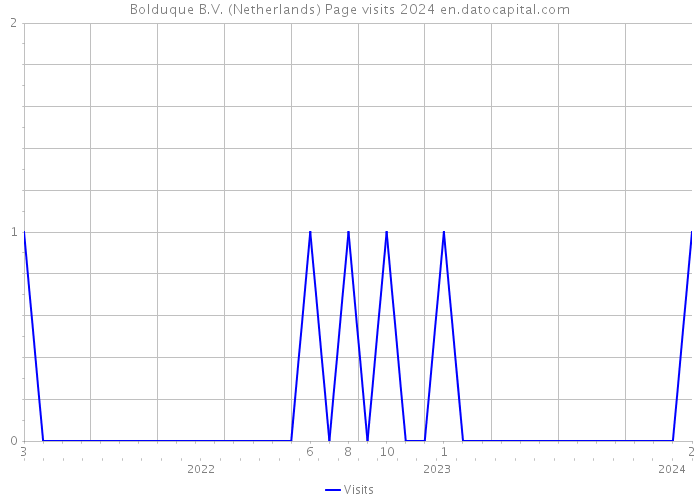 Bolduque B.V. (Netherlands) Page visits 2024 