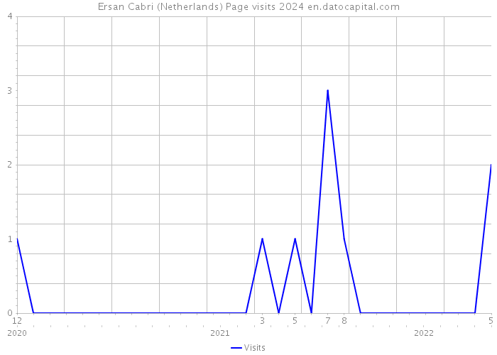 Ersan Cabri (Netherlands) Page visits 2024 