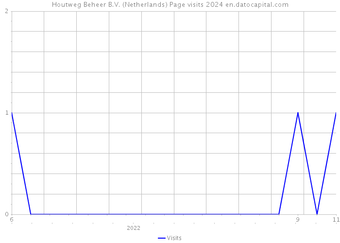 Houtweg Beheer B.V. (Netherlands) Page visits 2024 