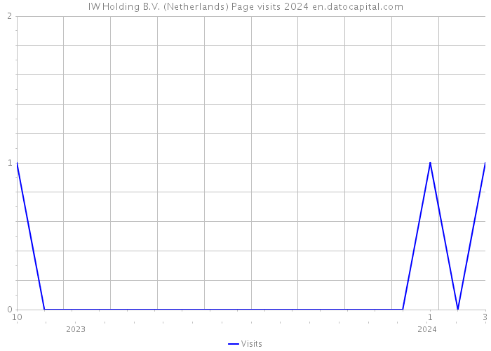 IW Holding B.V. (Netherlands) Page visits 2024 