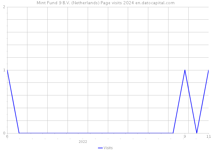 Mint Fund 9 B.V. (Netherlands) Page visits 2024 