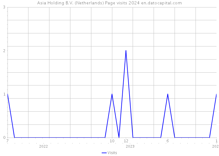 Asia Holding B.V. (Netherlands) Page visits 2024 