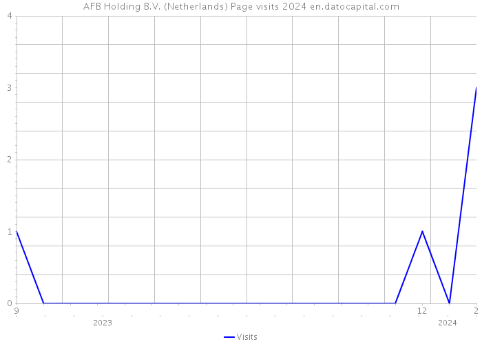 AFB Holding B.V. (Netherlands) Page visits 2024 