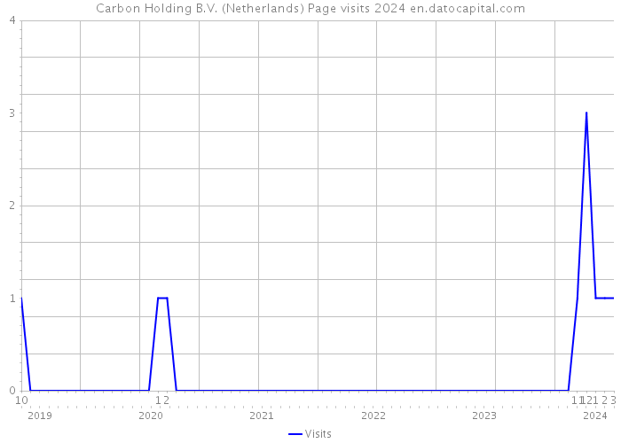 Carbon Holding B.V. (Netherlands) Page visits 2024 
