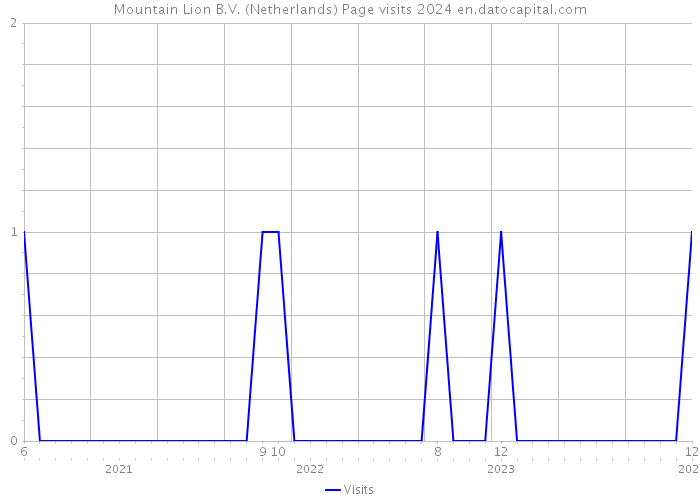 Mountain Lion B.V. (Netherlands) Page visits 2024 