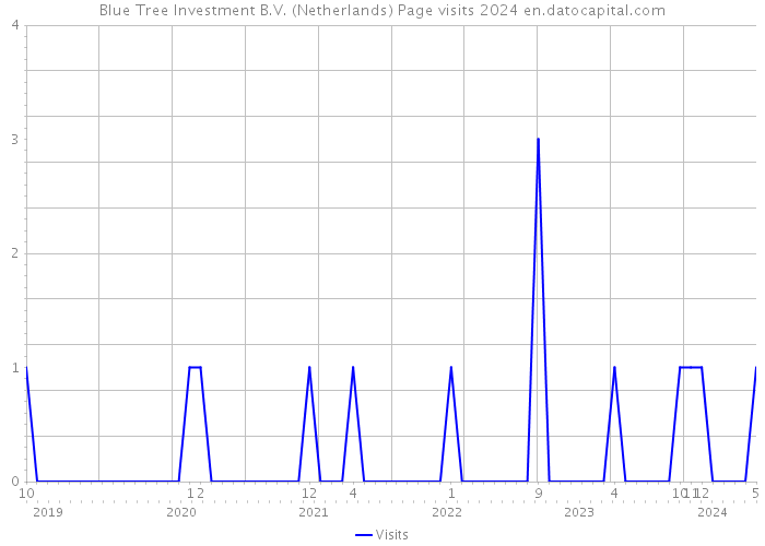 Blue Tree Investment B.V. (Netherlands) Page visits 2024 