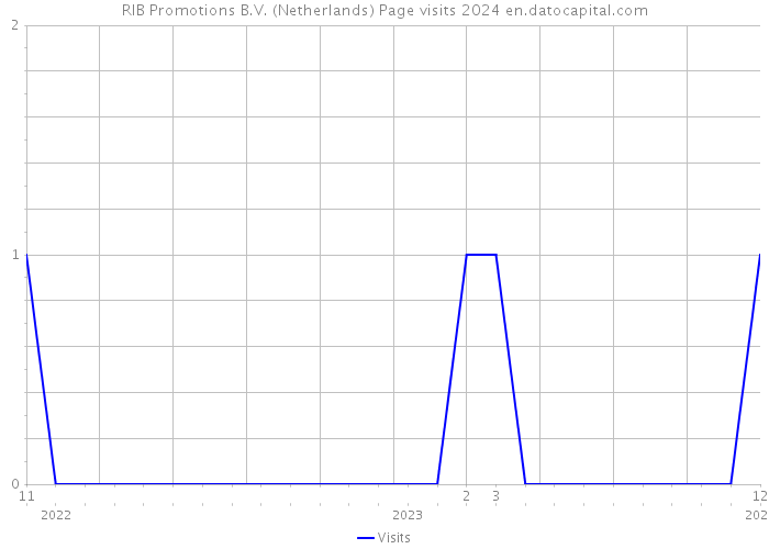 RIB Promotions B.V. (Netherlands) Page visits 2024 