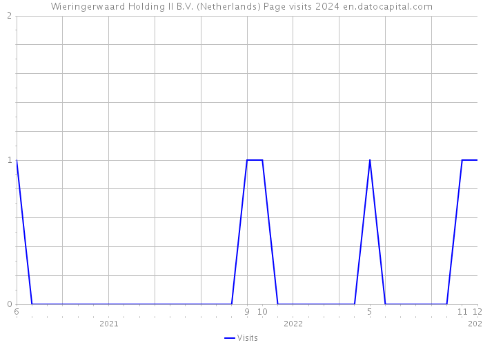 Wieringerwaard Holding II B.V. (Netherlands) Page visits 2024 