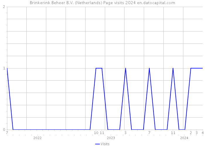 Brinkerink Beheer B.V. (Netherlands) Page visits 2024 