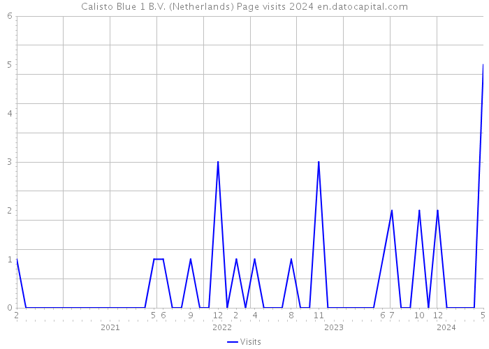 Calisto Blue 1 B.V. (Netherlands) Page visits 2024 