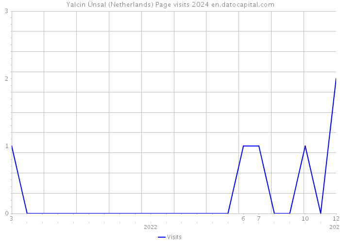 Yalcin Ünsal (Netherlands) Page visits 2024 