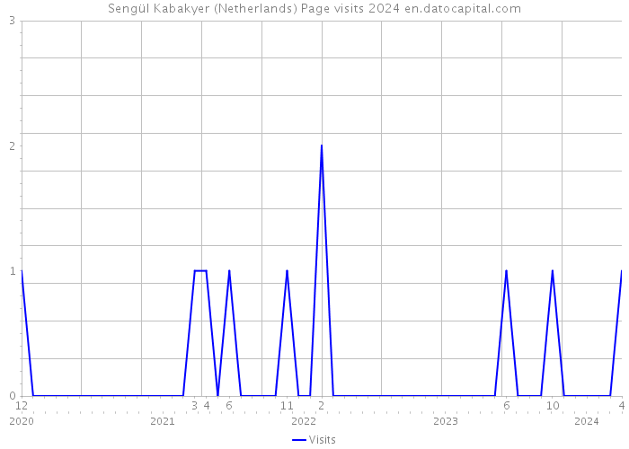 Sengül Kabakyer (Netherlands) Page visits 2024 