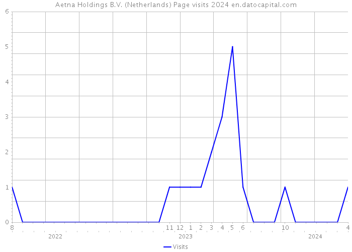 Aetna Holdings B.V. (Netherlands) Page visits 2024 