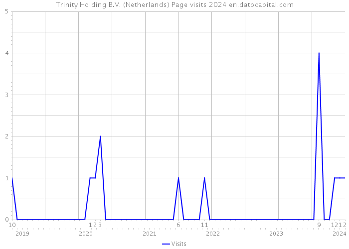 Trinity Holding B.V. (Netherlands) Page visits 2024 