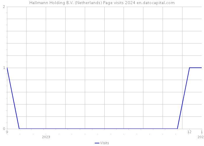 Hallmann Holding B.V. (Netherlands) Page visits 2024 