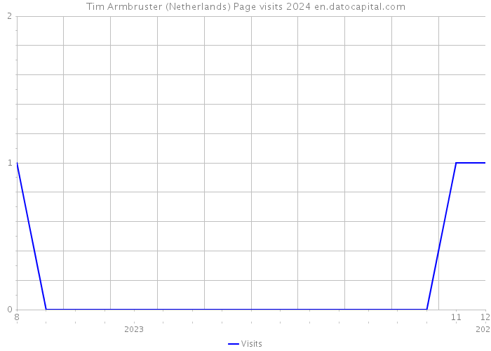 Tim Armbruster (Netherlands) Page visits 2024 