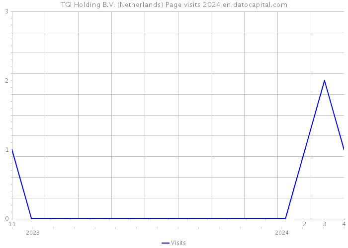 TGI Holding B.V. (Netherlands) Page visits 2024 