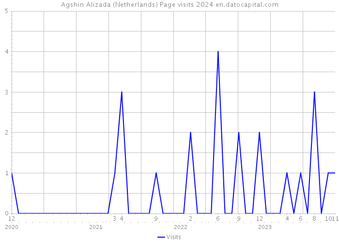 Agshin Alizada (Netherlands) Page visits 2024 